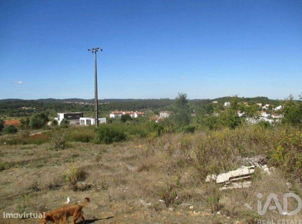 Terreno em Soure de 2954,00 m2 - Grande imagem: 4/9