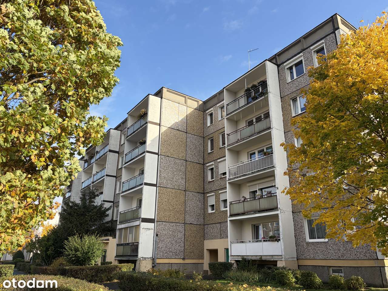 Batorego,ładne,zadbane mieszkanie z potencjałem,niezależny układ,wolne-15