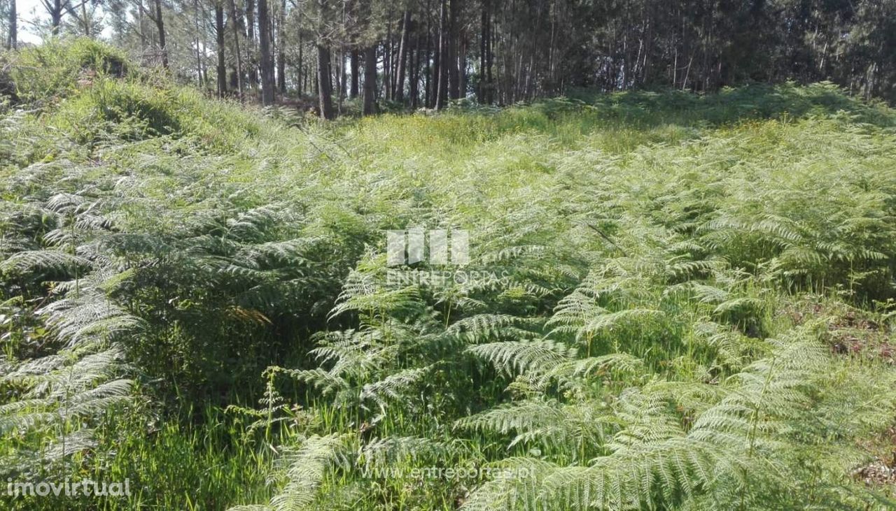 Terreno de construção para venda, Venade, Caminha