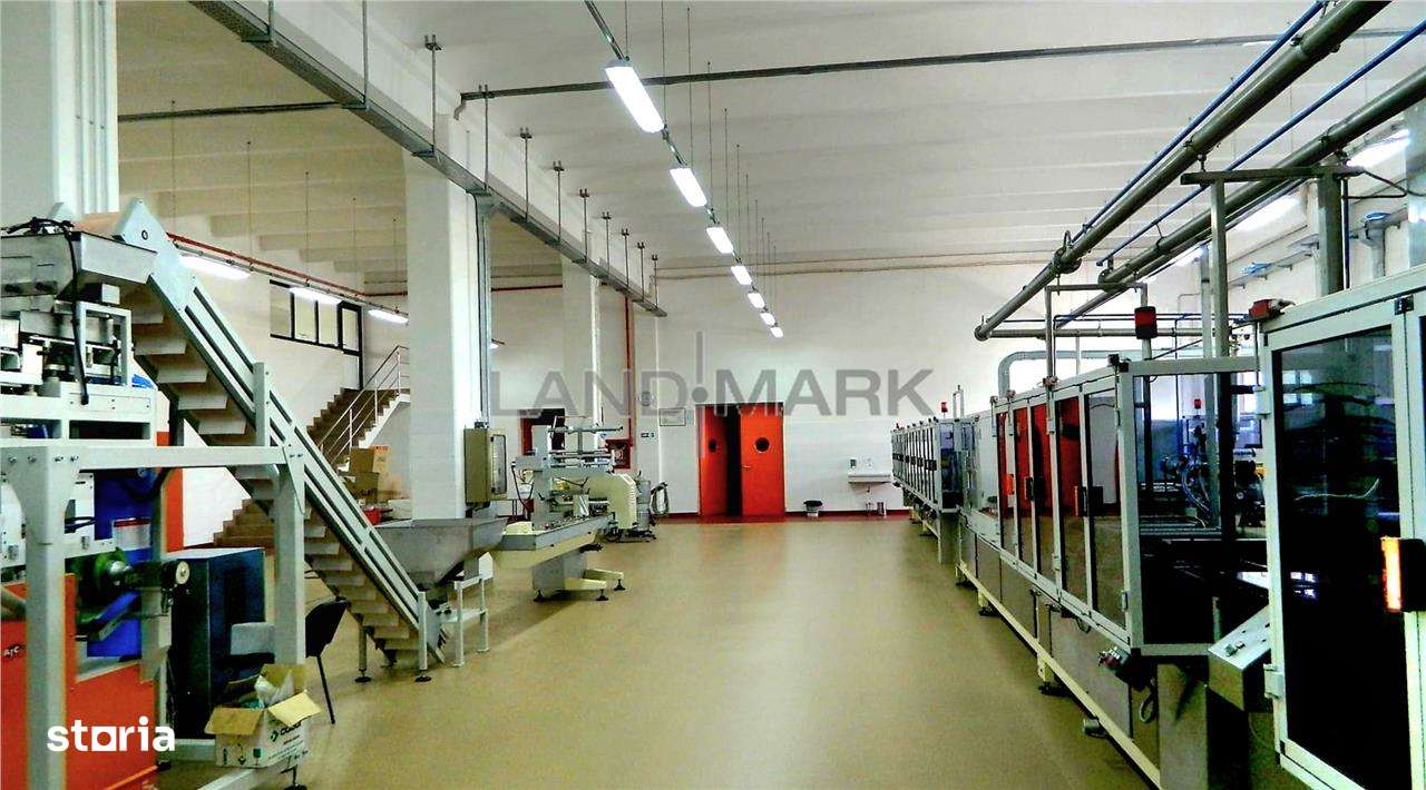 Hala industriala de vanzare, Timisoara Nord Vest - Imagine principală: 5/14