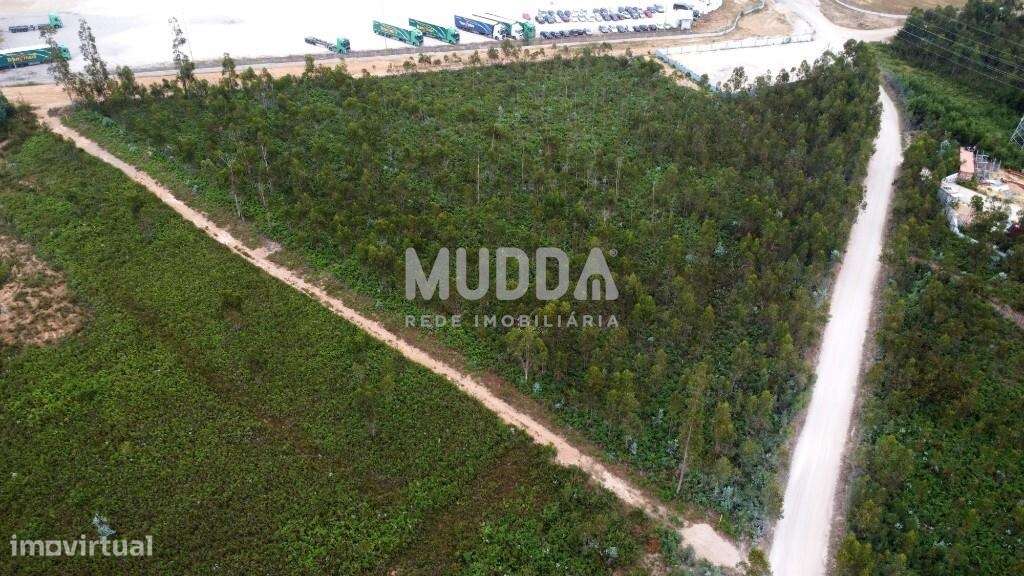 OPORTUNIDADE ÚNICA – TERRENO INDUSTRIAL PREMIUM EM ALBERGARIA-A-VELHA-5