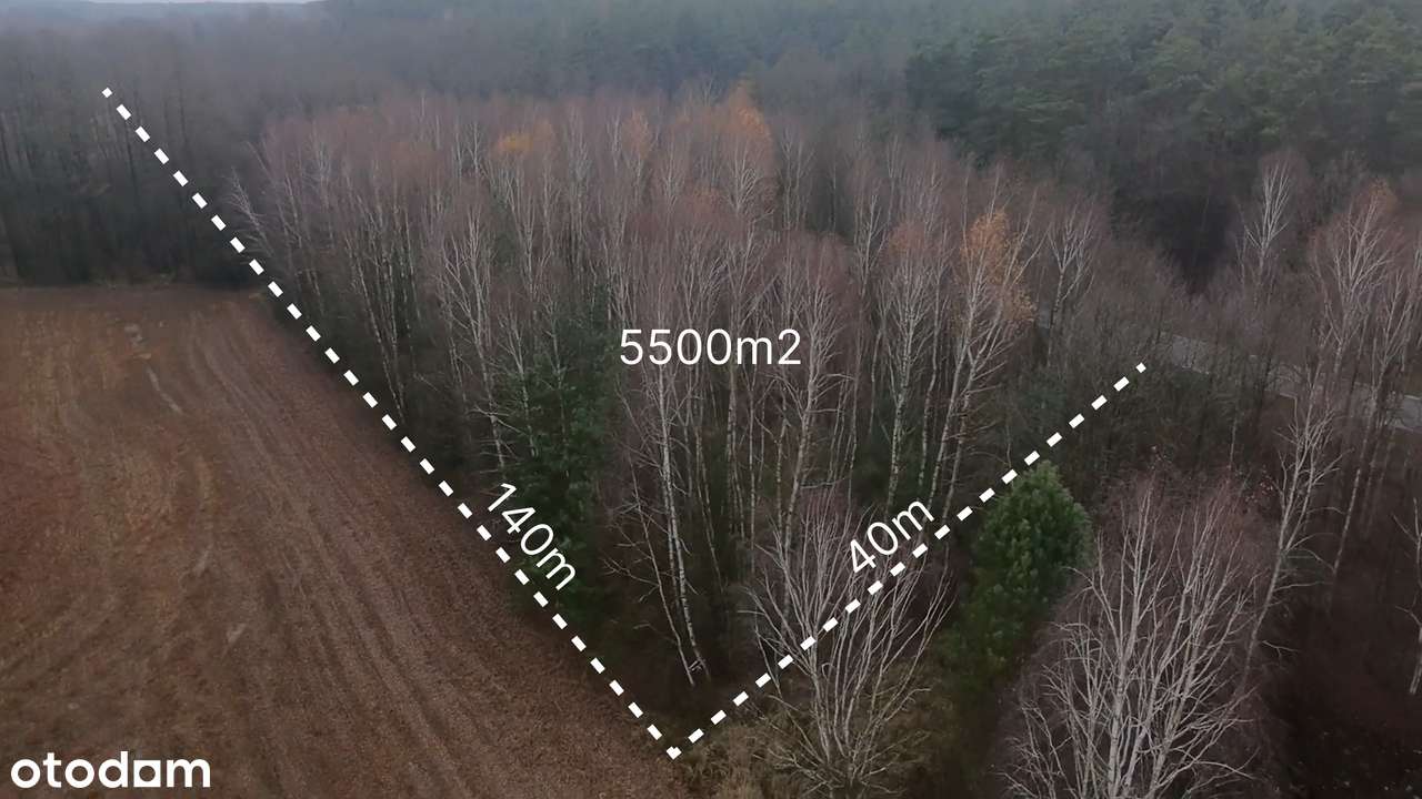 Działka produkcyjno - usługowa - przy trasie numer 50 - Pełny obrazek: 4/6