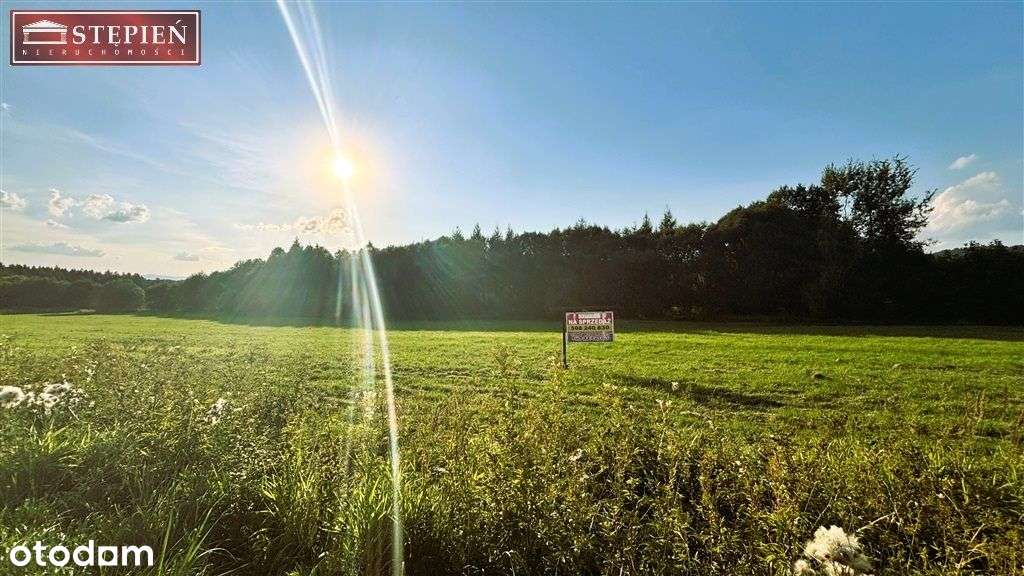 Malownicza działka Rm | Komarno | 6199 m² - Pełny obrazek: 5/7