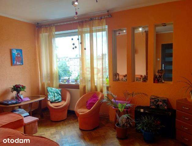 Mieszkanie 4-pokojowe niedaleko Rynku - Pełny obrazek: 5/7