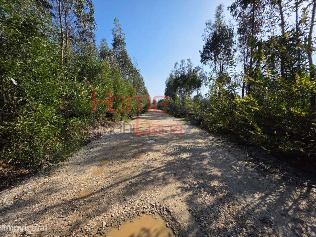 Terreno na zona industrial de Albergaria-a-Velha-5
