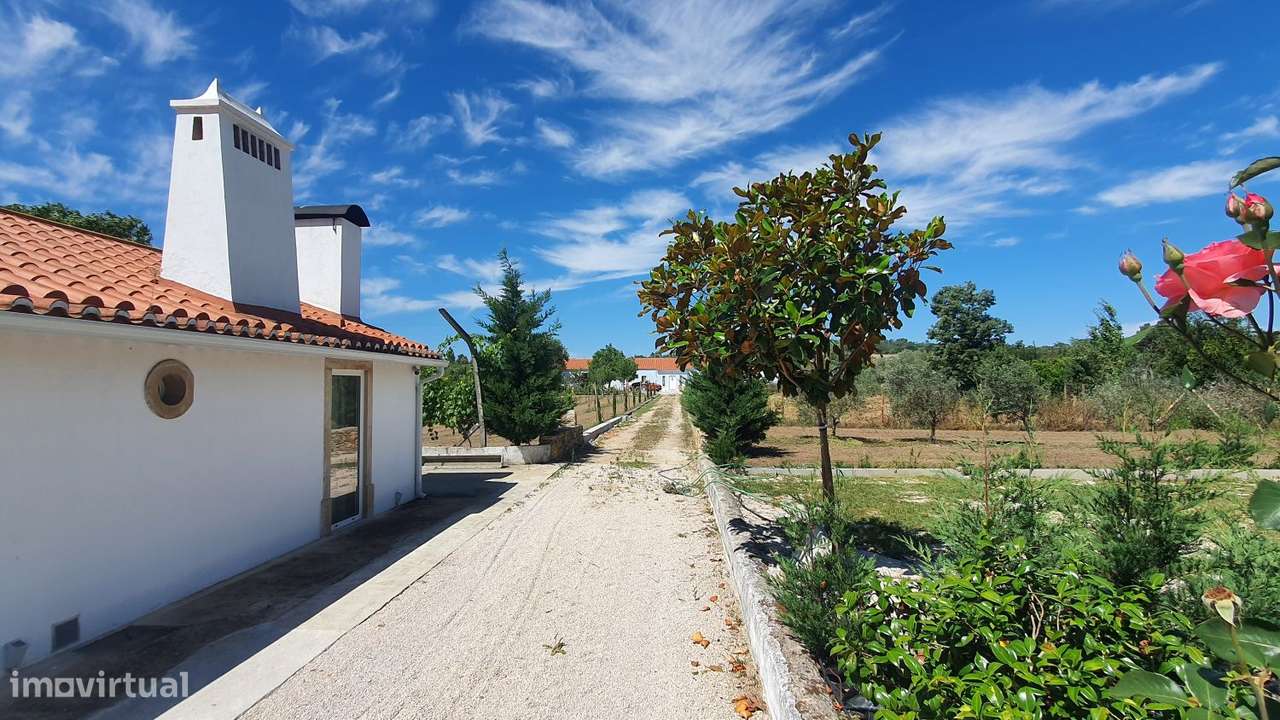 Encantadora Propriedade com 2 Moradias Tradicionais - Grande imagem: 5/60