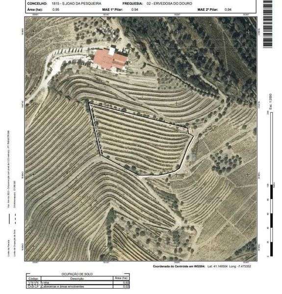Terreno Rústico no Douro - Grande imagem: 5/5