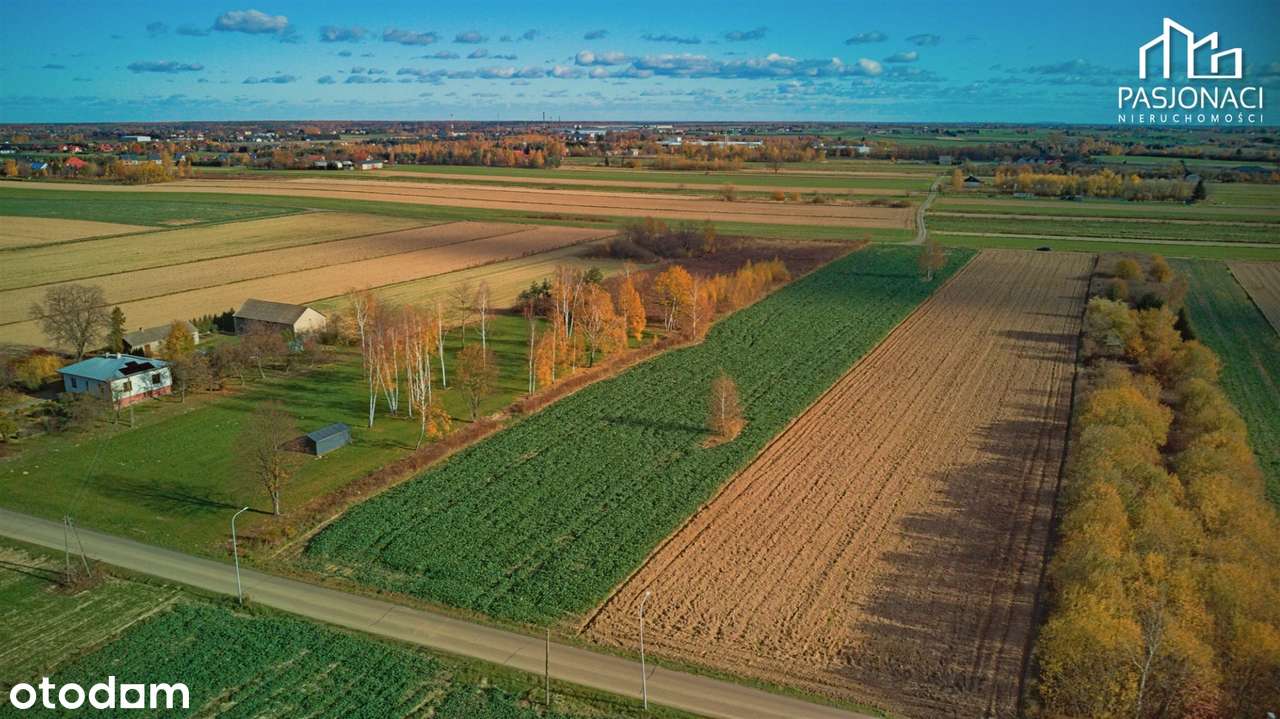 Ciecierzyn - Działki budowlane w spokojnej okolic - Pełny obrazek: 2/6