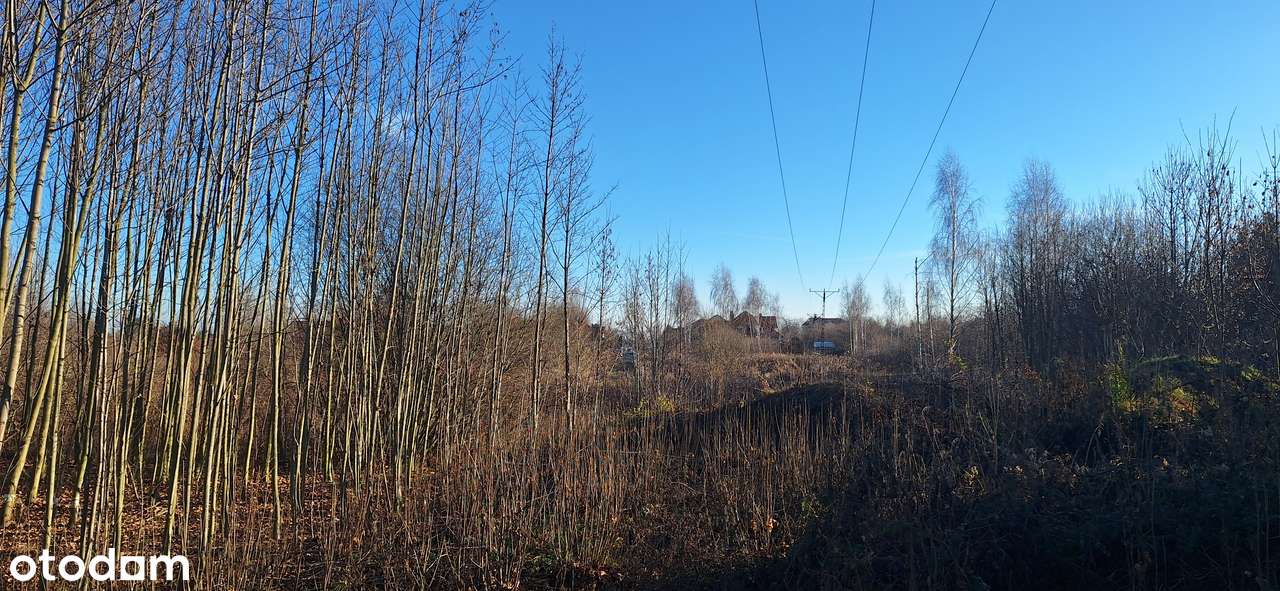 Żerniki Wrocławskie działka budowlano-usługowa pow. 1899 m2 nr 432/30 - Pełny obrazek: 5/9
