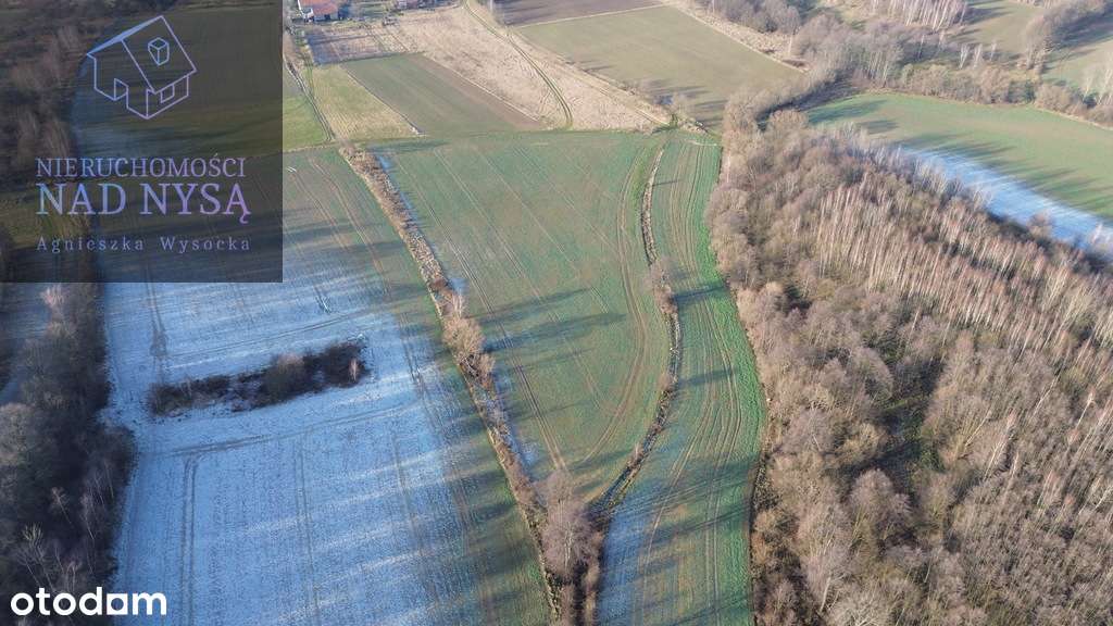 Sławnikowice działka rolna! pow. 19849 m2! - Pełny obrazek: 4/5