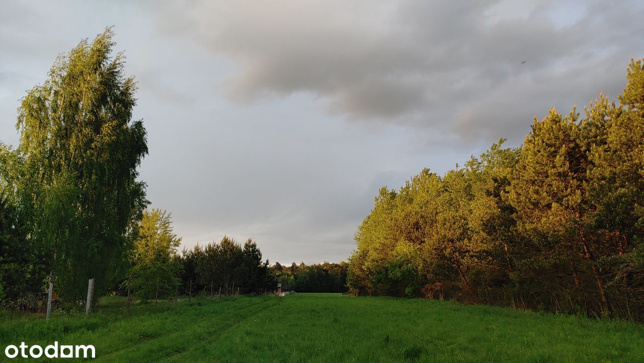 Działka w Dąbrówce gm. Kamionka