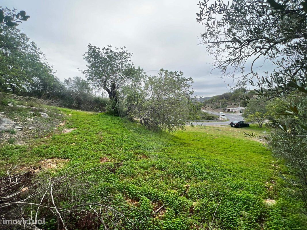 Terreno  para venda