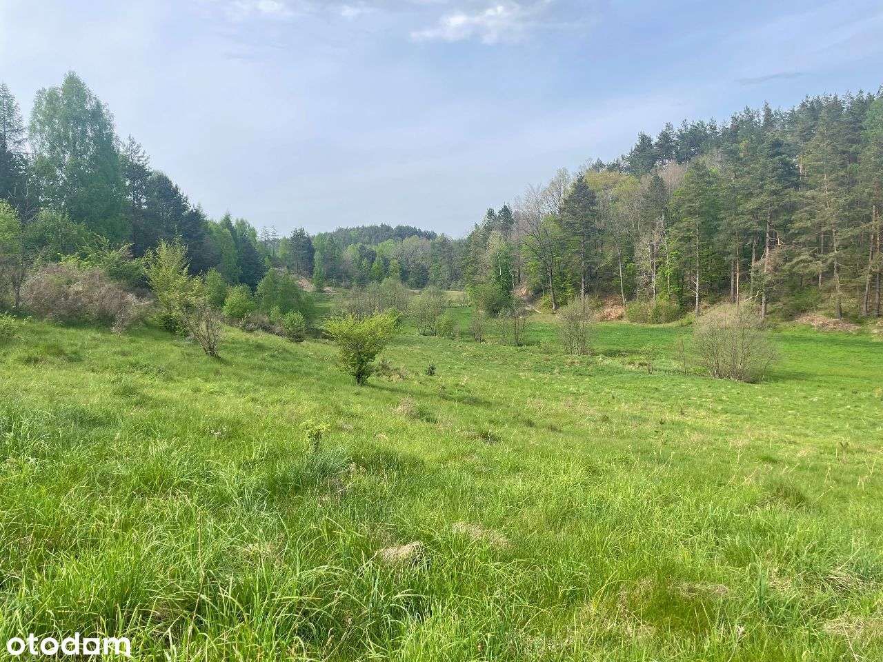 piękna działka budowlana przy Parku Krajobrazowym - Pełny obrazek: 1/13