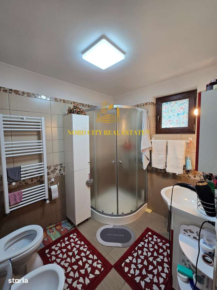 De vanare - Casa Dragomiresti Vale-13