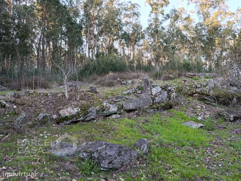 Casa de 48m2 para recuperar, com terreno de construção em Alheira -...-4