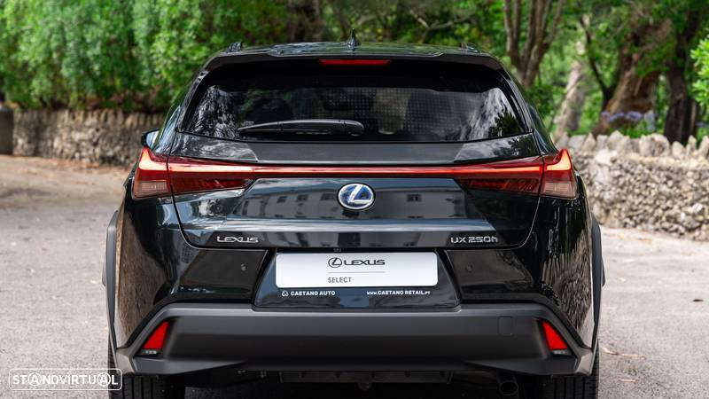 Lexus UX 250h Special Edition (LCA) - 6