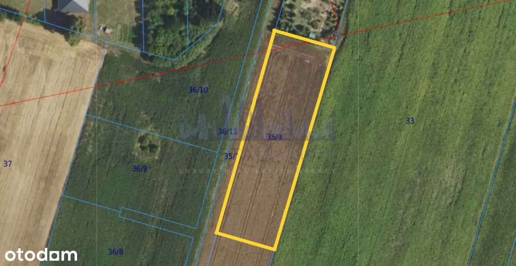 Działka z potencjałem Pasikonie/Kampinos - Pełny obrazek: 4/5