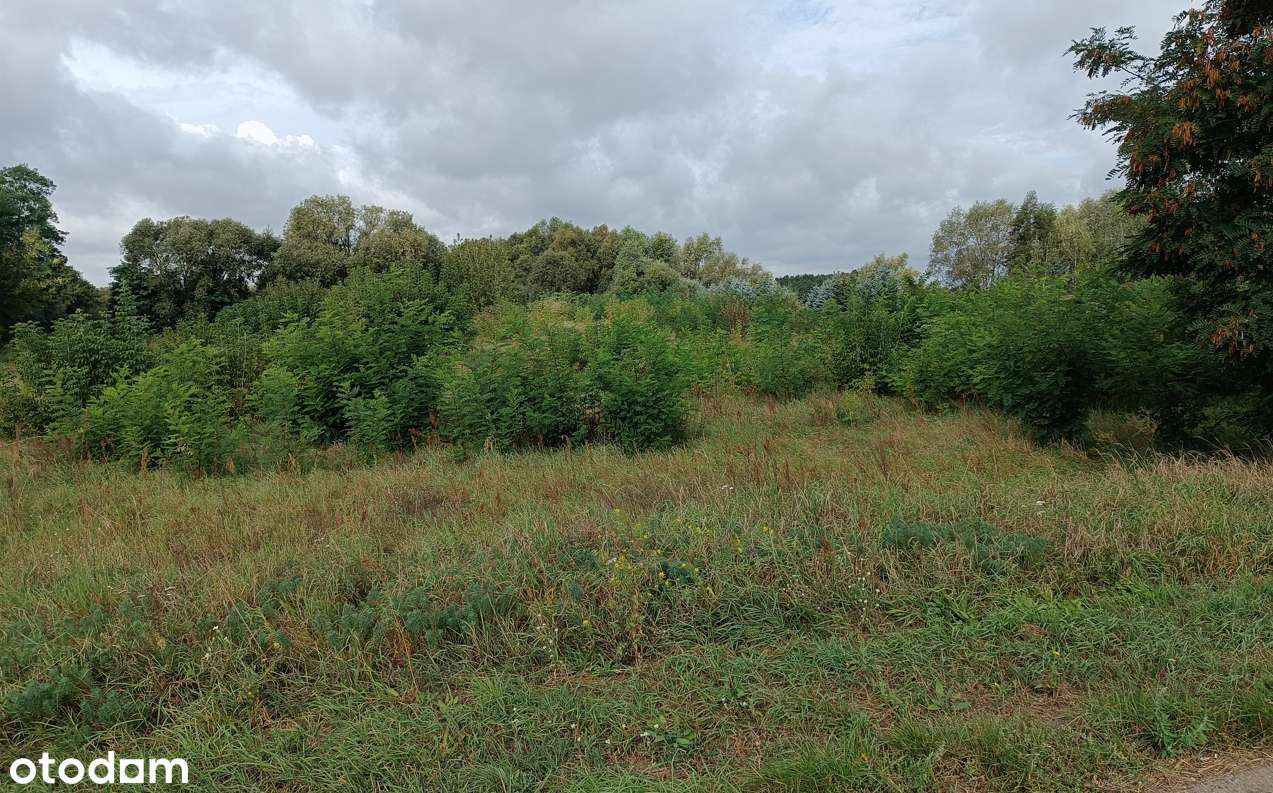 Osowo, Września - budowlane, warunki zabudowy, ustawne - Pełny obrazek: 5/6