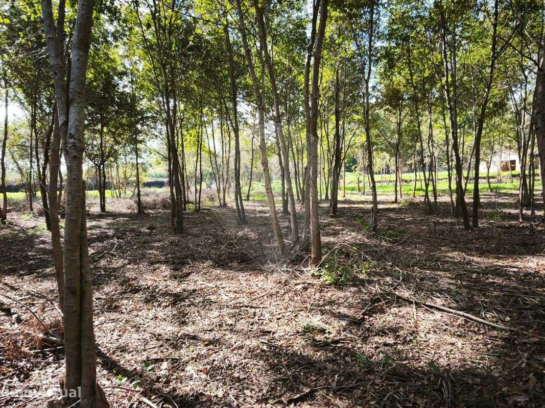 Quinta T0 para venda - Grande imagem: 4/19