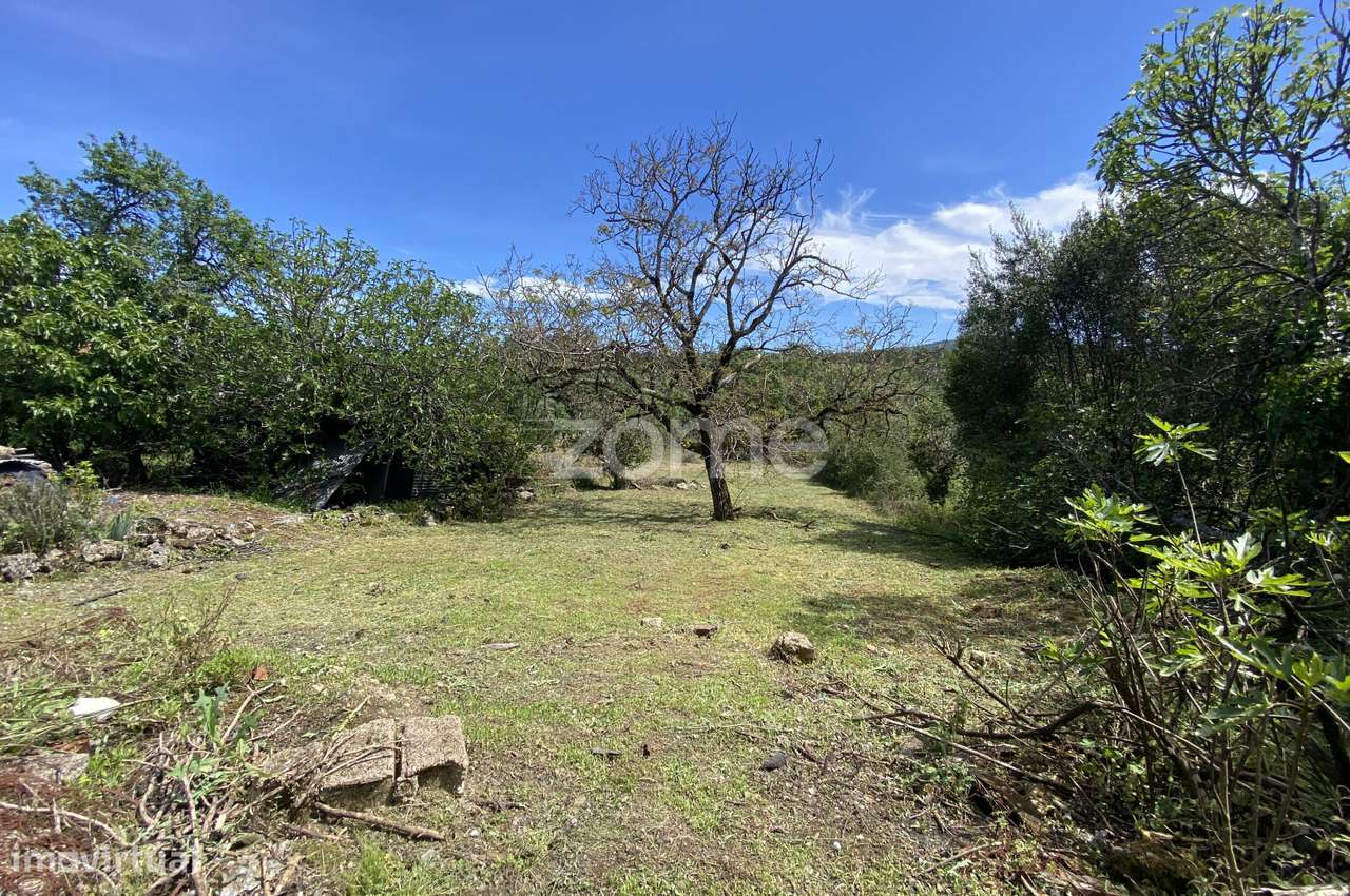 Moradia Para Remodelar Em Ansiao