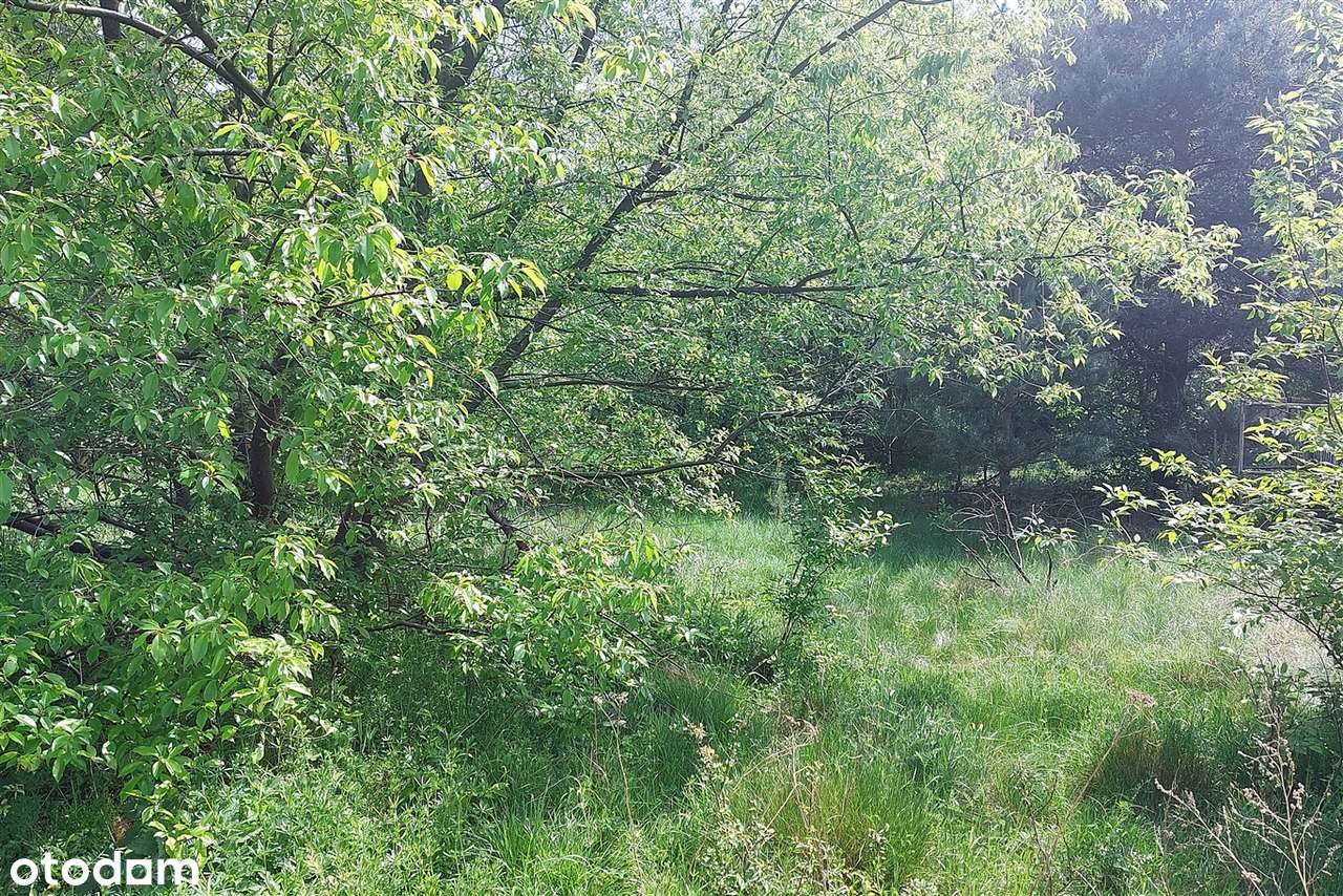 Działka budowlana Wygoda - Pełny obrazek: 4/5