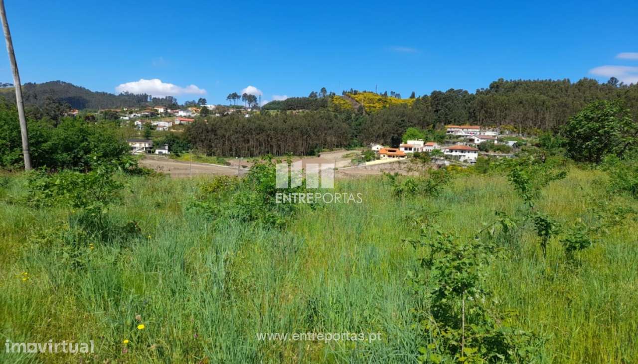 Venda Terreno, Fregim, Amarante - Grande imagem: 5/38