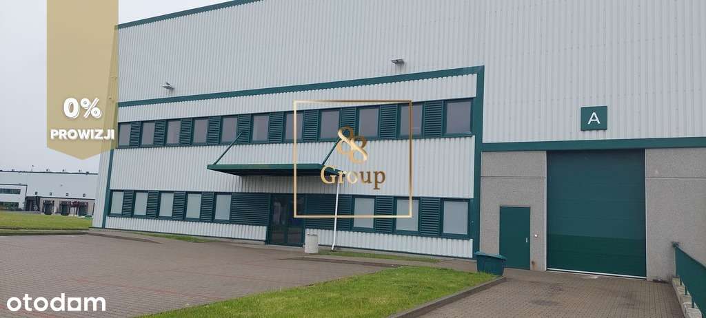 Do wynajęcia magazyn 6600m2 w Błoniu - Pełny obrazek: 4/4