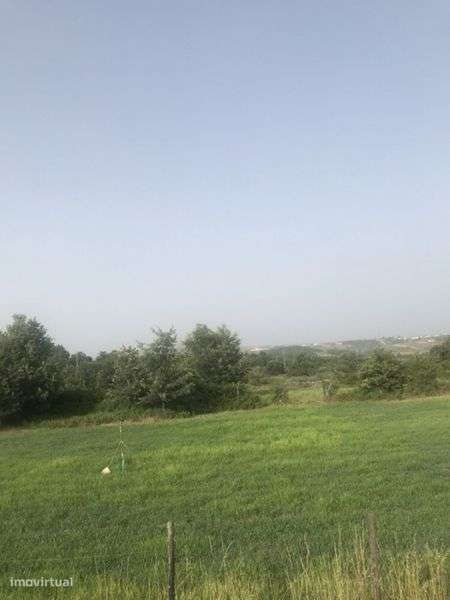 Terreno com 10 mil metros quadrados com loteamentos - Grande imagem: 4/4