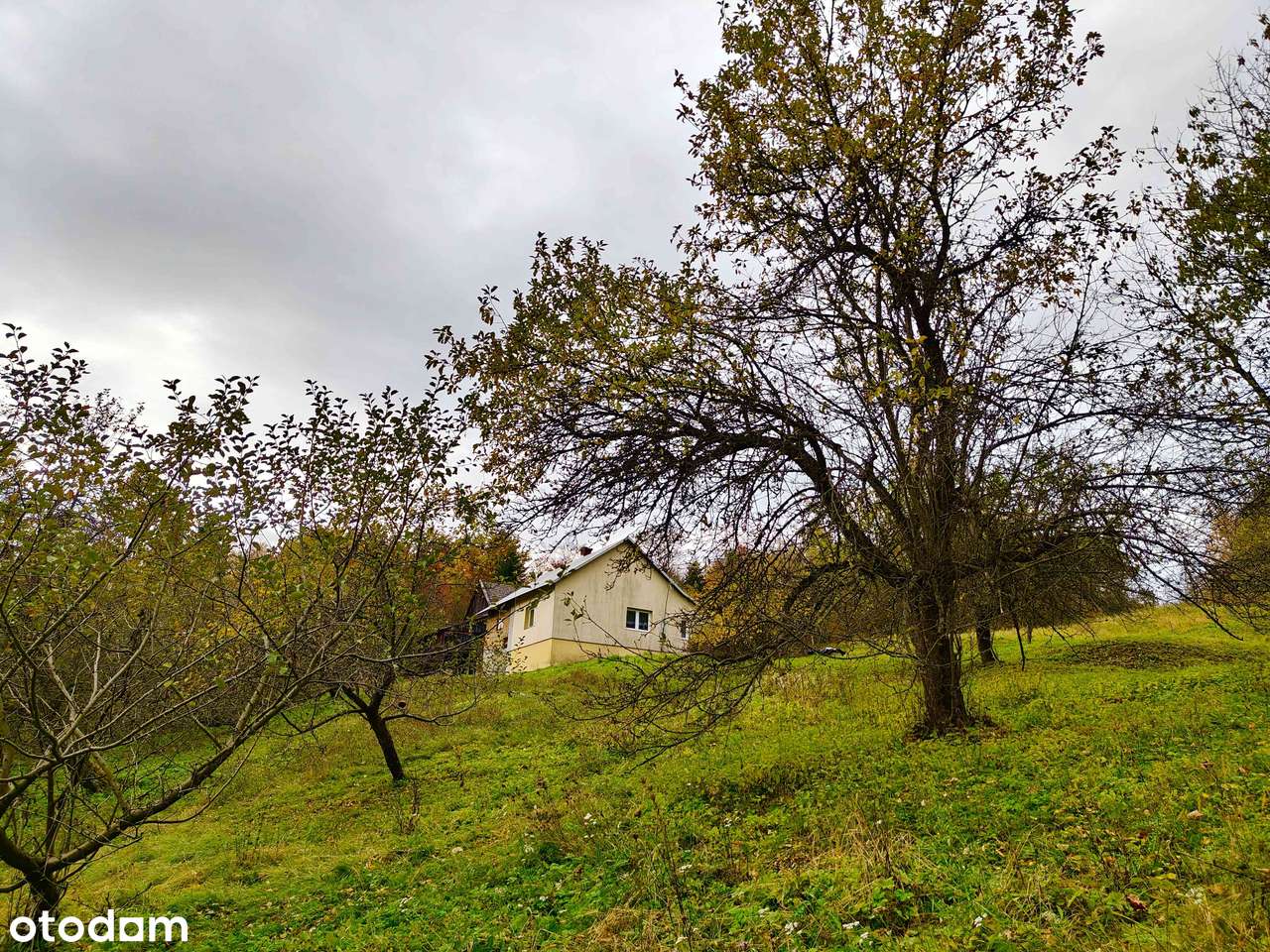 Enklawa spokoju | powiat Rzeszowski-0