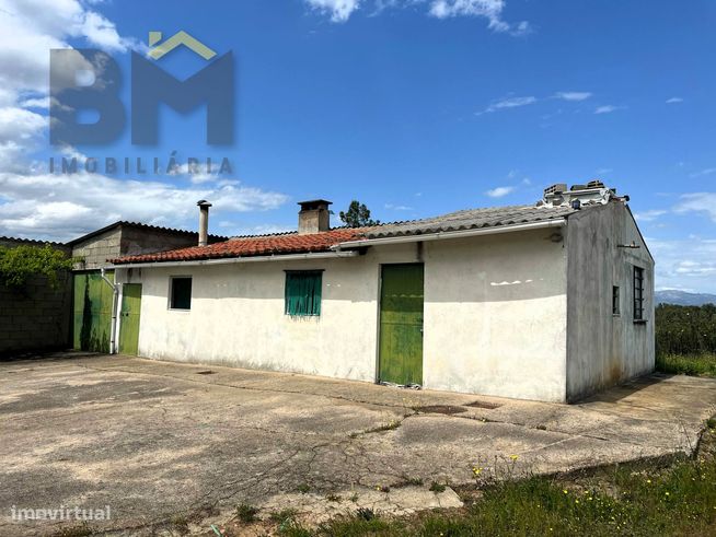 Quinta T1 Venda em Salgueiro do Campo,Castelo Branco-0