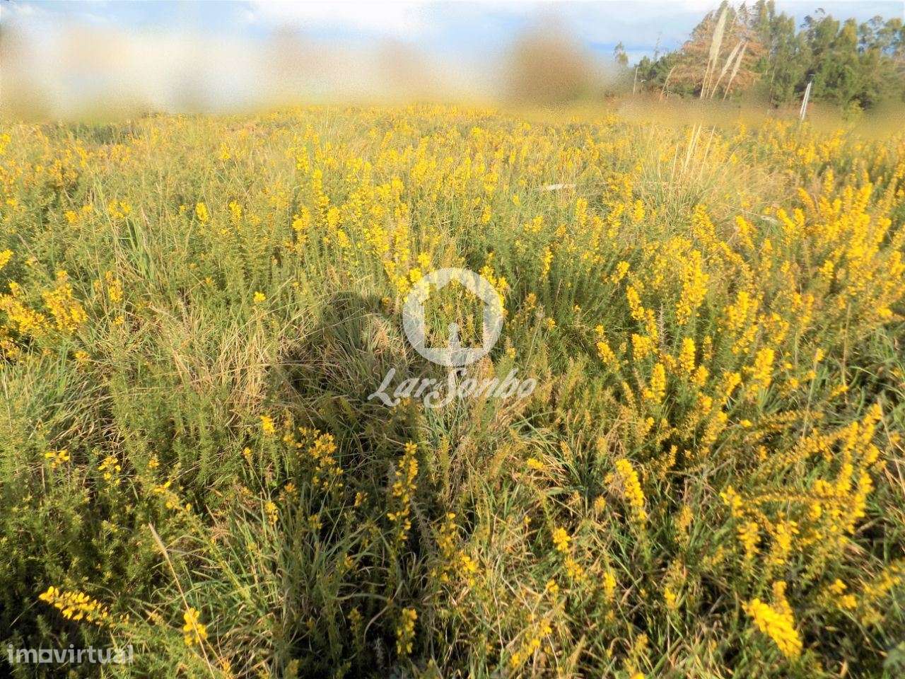 Terreno plano para construção em Touguinhó - Grande imagem: 4/5