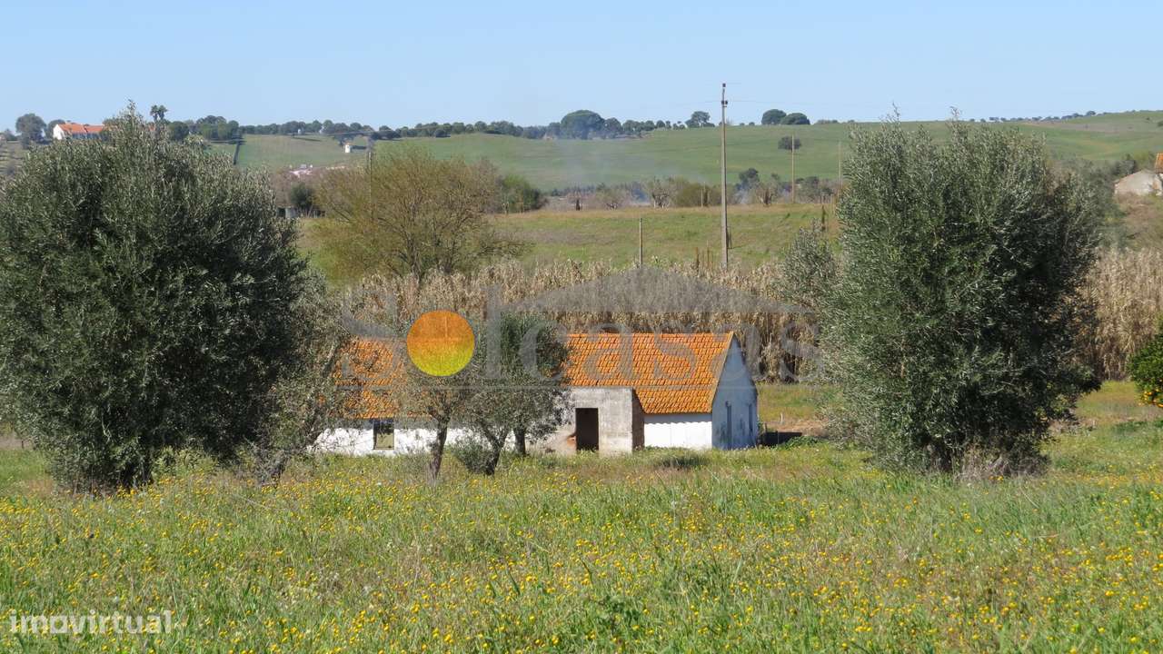 Quinta perto de Alcácer do Sal-2