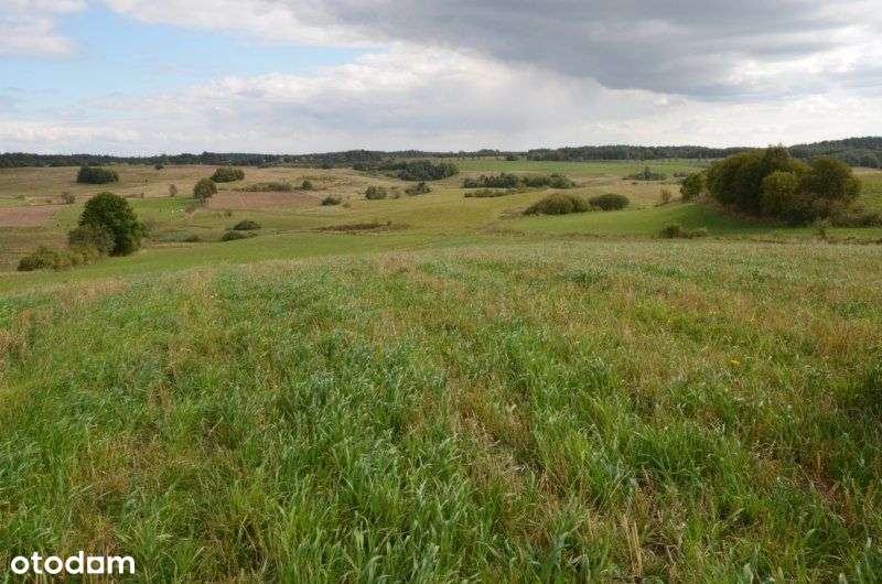 Działka rolna okolice Przywidz-1