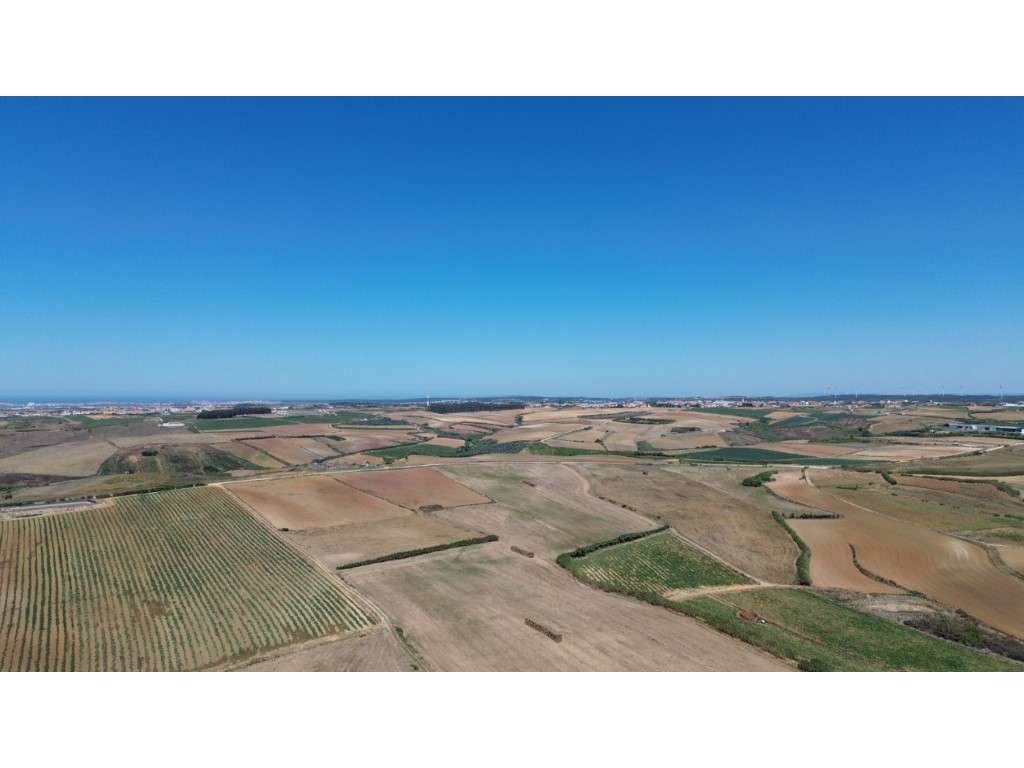 VENDE-SE TERRENO COM 5,92HA - PAIMOGO - LOURINHÃ - Grande imagem: 4/18