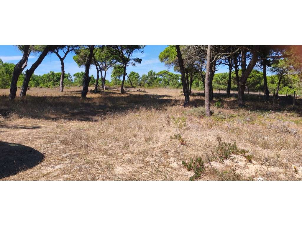 Terreno rústico em Fetais - Grande imagem: 3/5