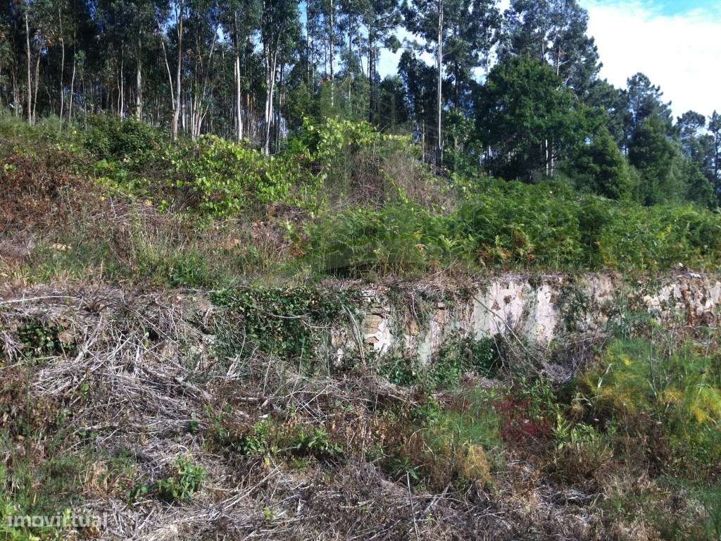 Terreno para construção em Vilar de Mouros - Grande imagem: 5/12