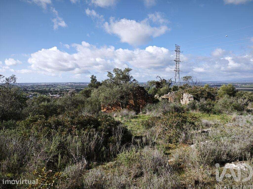 Terreno para construção em Algoz e Tunes - Grande imagem: 3/8