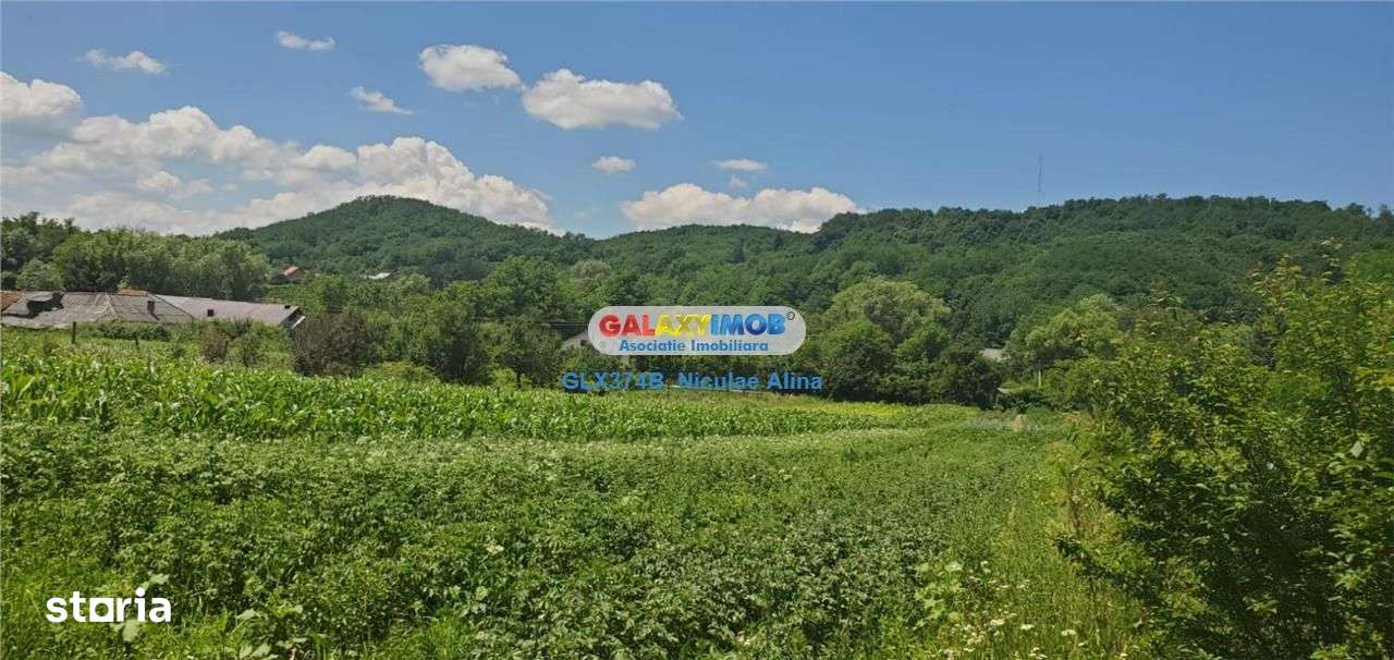 Teren intravilan comuna Bogati sat Birloi Jud. Arges - Imagine principală: 2/10