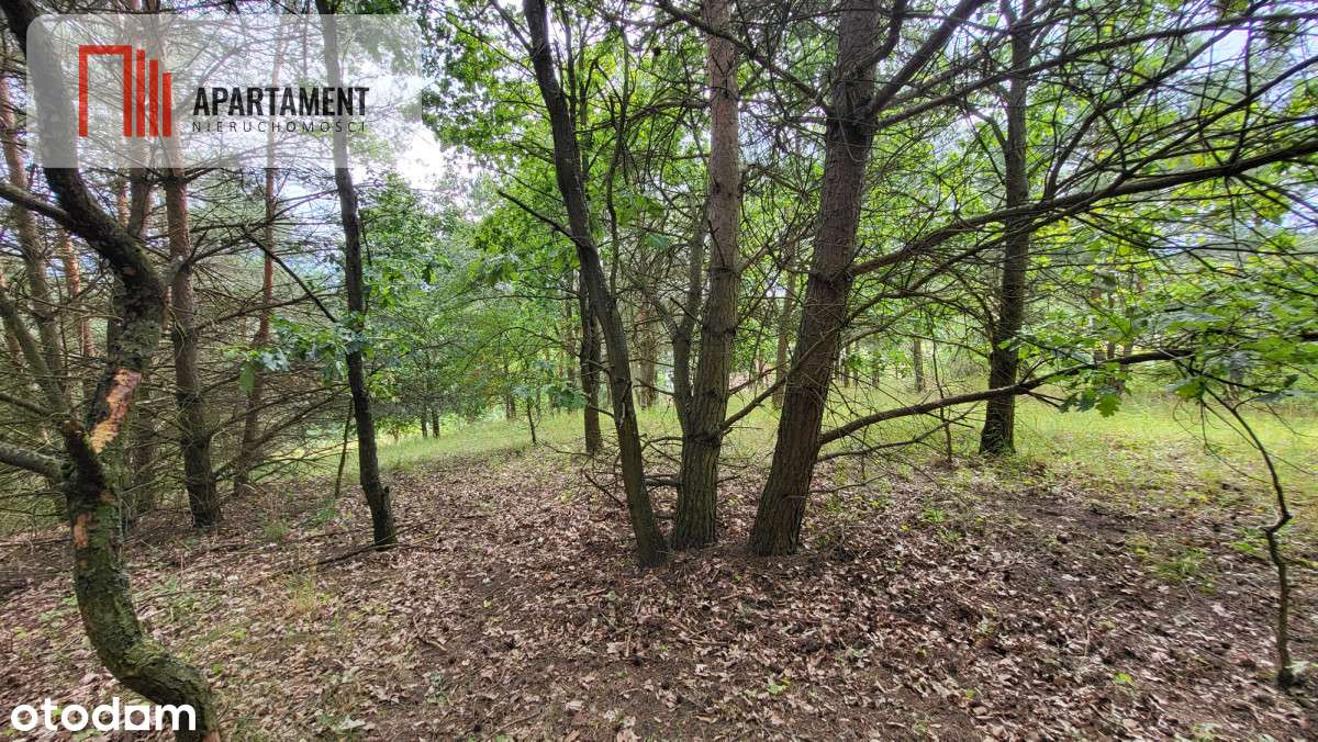 2118mkw z WZ - Wyrzysk Skarbowy - Pełny obrazek: 5/10