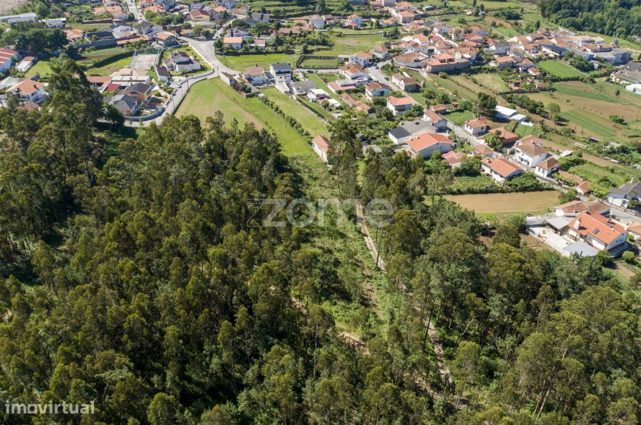 Terreno urbano em Caldas de São Jorge - Área de 3.462 m2 - Grande imagem: 5/15