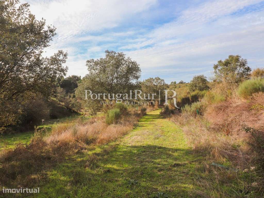 Quinta de 4,18 ha confinante com a ribeira na Orca, Fundão - Grande imagem: 2/47