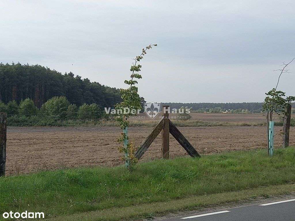 Gołuń - atrakcyjne działki na sprzedaż-7