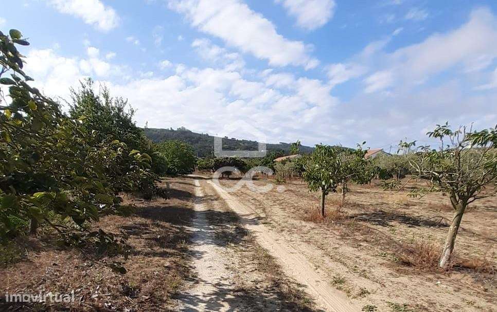 Terreno para construção com 7.415 m² em Cabanas, Quinta do Anjo, Palme-14