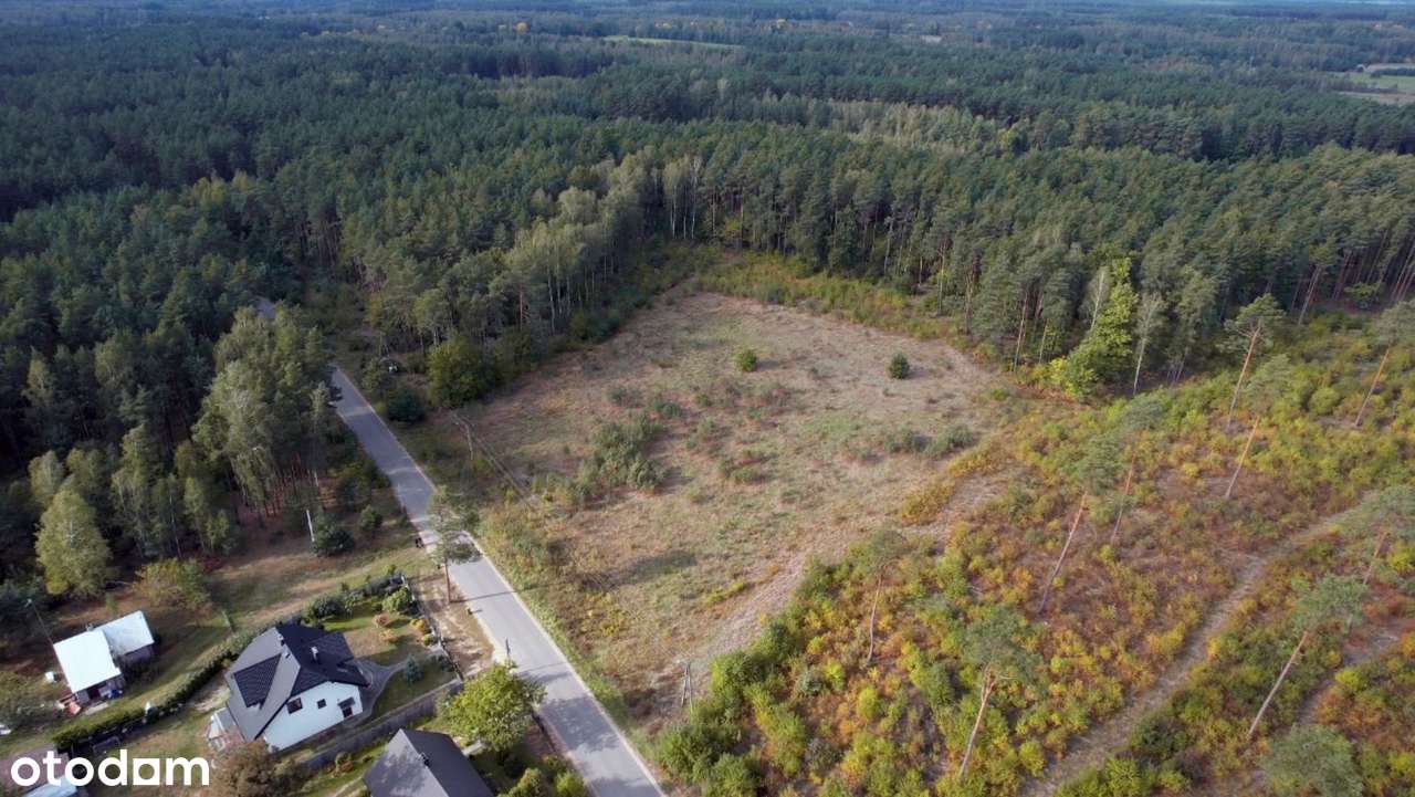 Działka rolno-leśna w centrum miejscowości Błędnica, 9,7142 ha-4