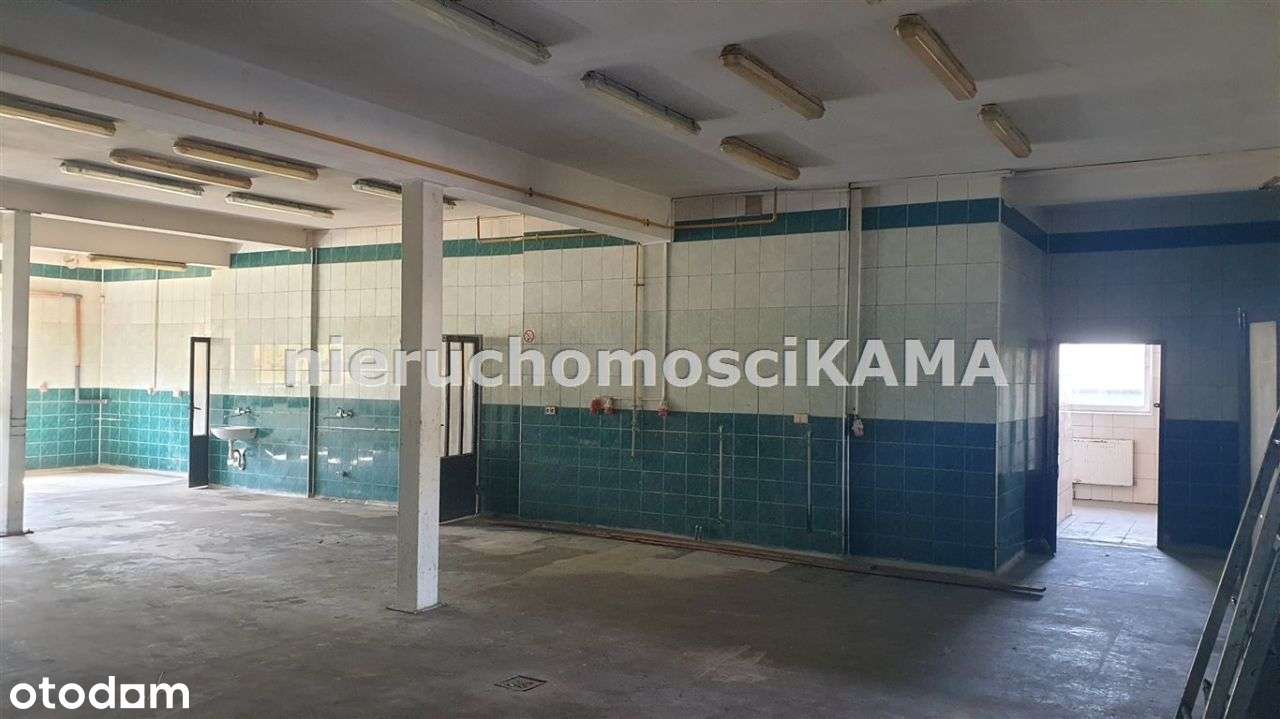 Hala/Magazyn, 1 035 m², Bielsko-Biała - Pełny obrazek: 4/18
