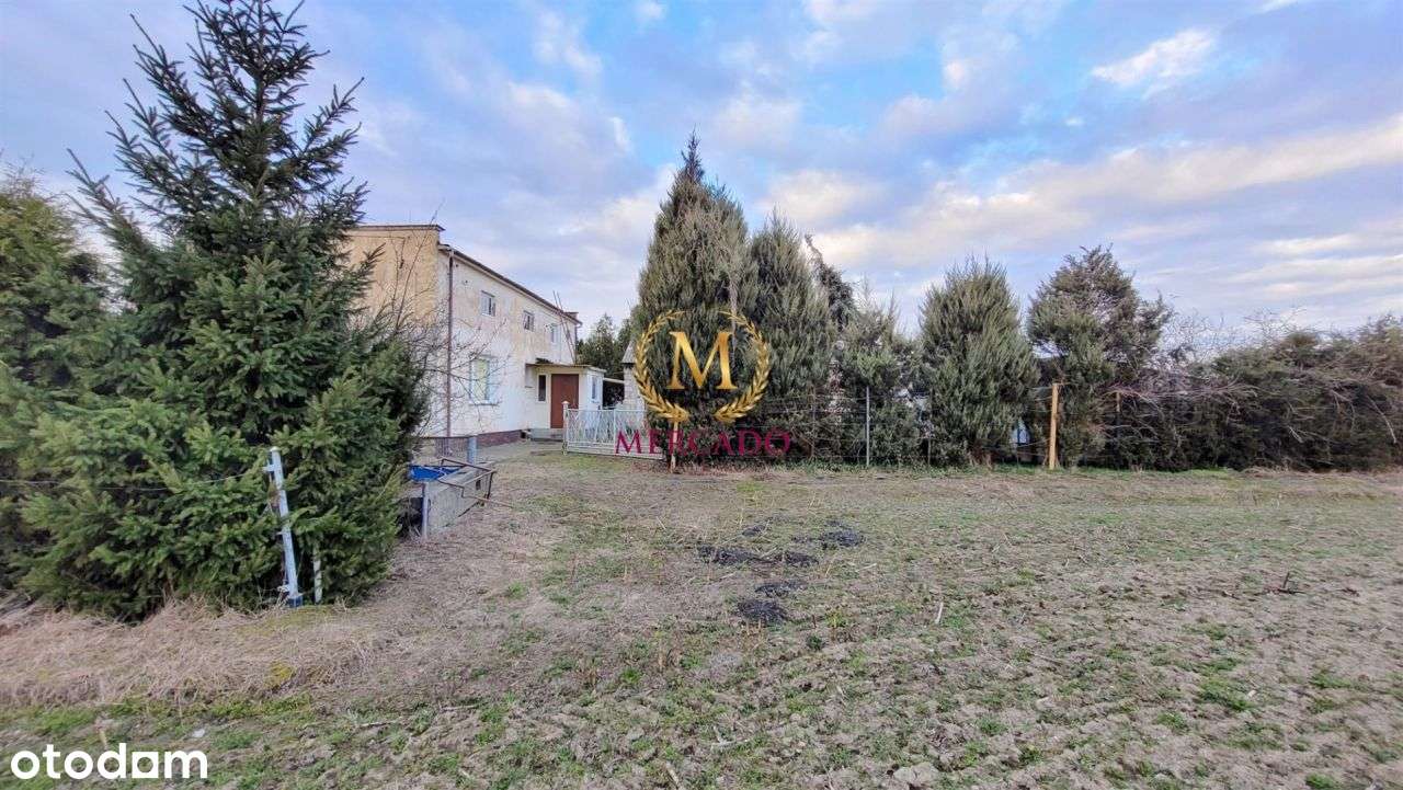 Działka 8789m2 z potencjałem - Pełny obrazek: 5/7