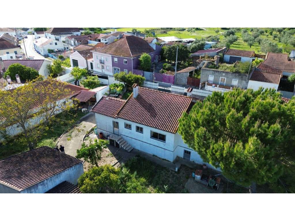 Vendese Quinta com Casa T4, Adega, Lagar e Terreno com Árvores de F...-10