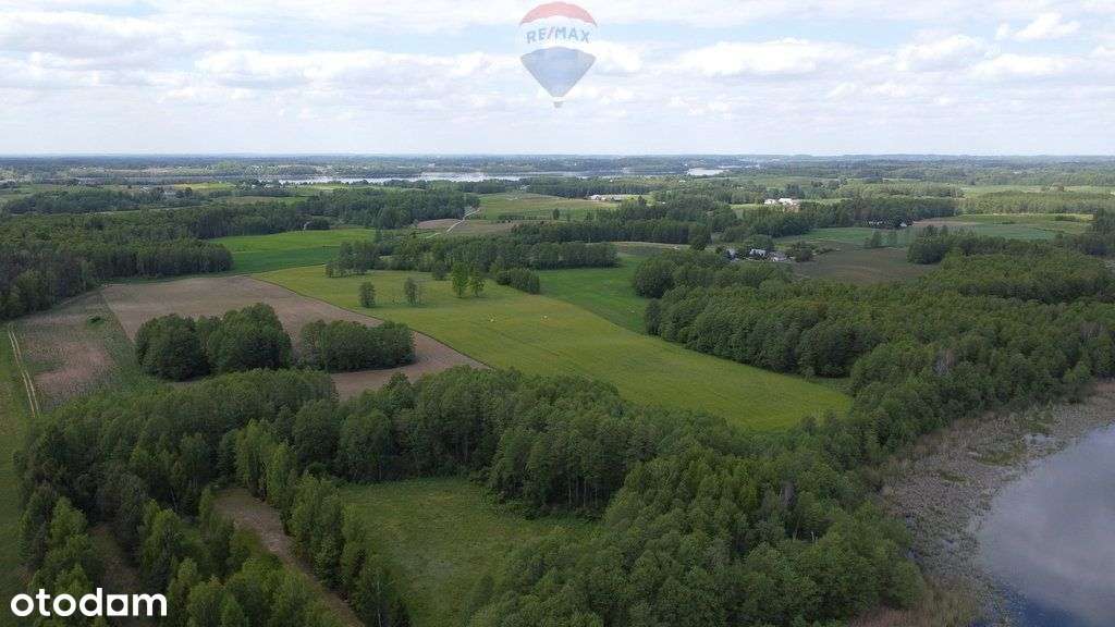 Działka z linią brzegową jeziora Hołny - Pełny obrazek: 4/9