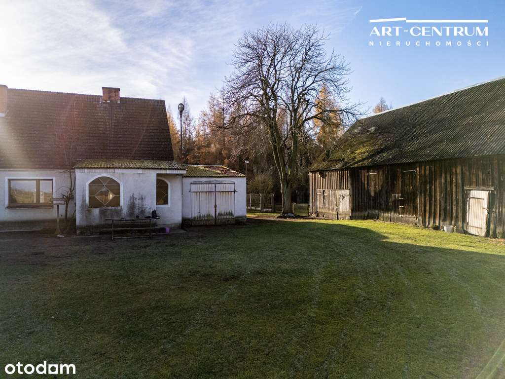 Siedlisko 11 ha w lesie - blisko Bydgoszczy - Pełny obrazek: 4/14