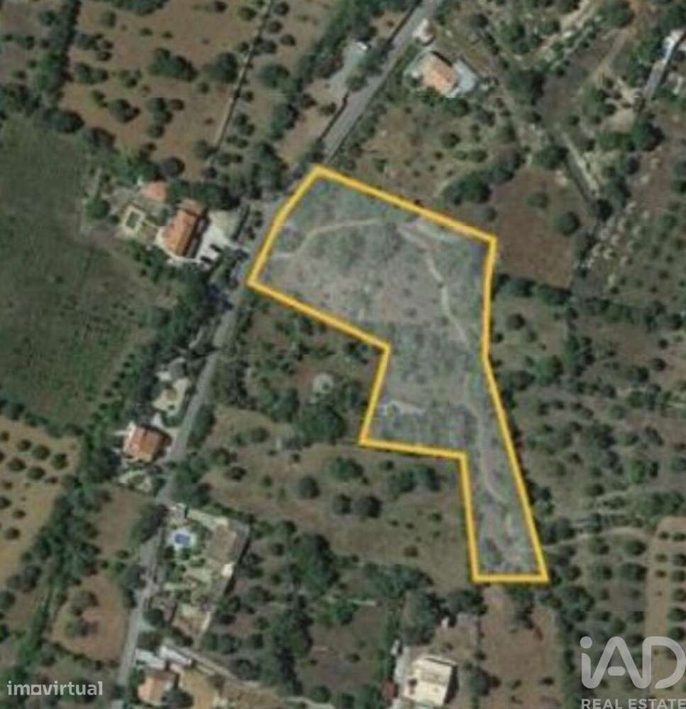 Terreno em São Brás de Alportel de 7880,00 m2 - Grande imagem: 2/2
